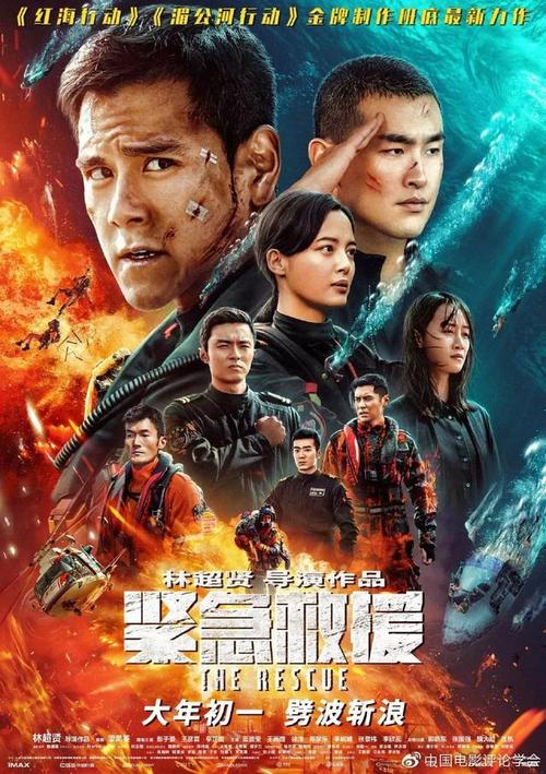 仿制丹麦驾照